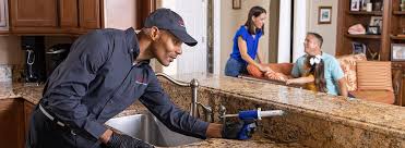 Professional Pest Control in Lovington, IL